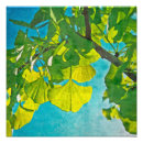 Zoek naar ginkgo bladeren posters Groen