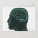 Recherche de image de cerveau Corps