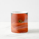 Recherche de plumage tasses Rose