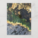 Recherche de main formée cartes postales Pour lui