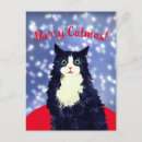 Recherche de chat de noël cartes postales Joyeux catmas