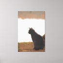 Recherche de silhouette chat toiles Animal