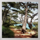 Recherche de pépin posters Forêt
