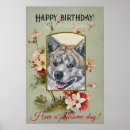 Zoek naar akita hond posters Hoektand