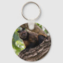 Recherche de singes porteclés Animal