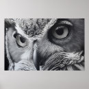 Recherche de ornithologie posters Oiseau de proie
