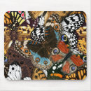 Recherche de insecte dame tapis souris Papillon