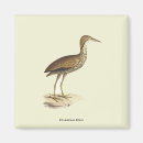 Recherche de mineur magnets Oiseau