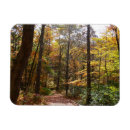 Recherche de chutes magnets Nature