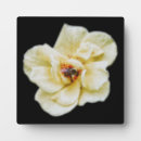 Recherche de abeille plaques Insecte