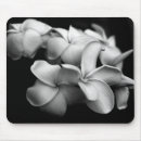 Recherche de plumeria tapis souris Flore