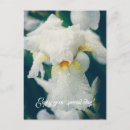 Recherche de le plus frais posters Botanique