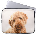 Recherche de races ordinateurs portables protections Animal