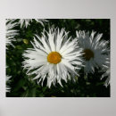 Recherche de devenu art Floral