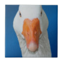 Recherche de oies carreaux Blanc