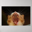 Recherche de bâillon photographie Drôle