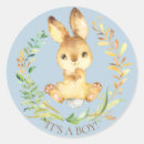 Recherche de lapin bébé autocollants Baby