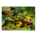 Recherche de butterfly Birthday