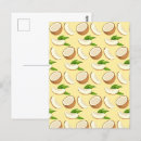 Recherche de noix de coco cartes postales Fruit