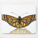 Recherche de à ailes tapis souris Photographie
