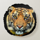 Recherche de tigre sauvage coussins Nature