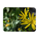 Recherche de fleur jaune magnets Floral