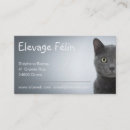 Recherche de félin cartes visite Vétérinaire