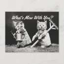 Recherche de chatons vintages cartes postales Adorable