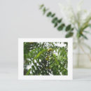 Recherche de charmant cartes postales Tendance