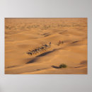 Recherche de caravane posters Afrique
