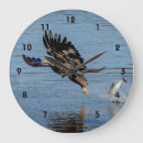 Recherche de aigles horloges Sauvage