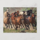 Recherche de mustang sauvage cartes postales Cheval