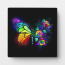 Recherche de papillon rose plaques Noir