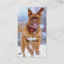 Recherche de marcheurs cartes visite Pour animaux