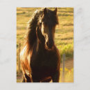 Recherche de friesian posters Équestre