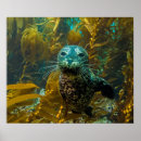 Recherche de phoque posters Californie