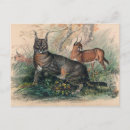 Recherche de caracal cartes postales Chat