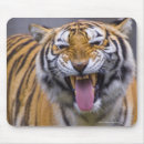 Recherche de zoo tapis souris Nature