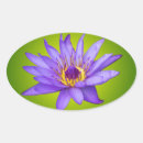 Recherche de nympheas autocollants Nature