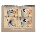 Recherche de oriental photographie Oiseau bleu oriental