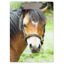 Recherche de poney porte blocs Animaux