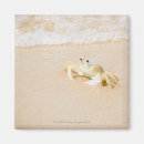 Recherche de le brésil magnets Nature