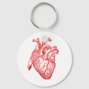 Recherche de anatomie Rouge