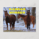 Recherche de cheval rouge cartes postales Blanc