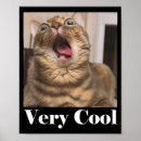 Zoek naar kat meme posters Grappig