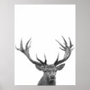 Recherche de daim posters Rustique
