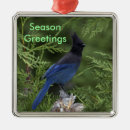 Recherche de salutations de saison ornements Nature