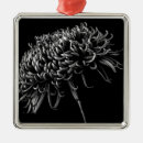 Zoek naar natuur kerstdecoratie Plant