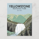 Recherche de gibbon cartes postales Parc national de yellowstone
