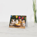 Zoek naar hamster kaarten Gelukkig